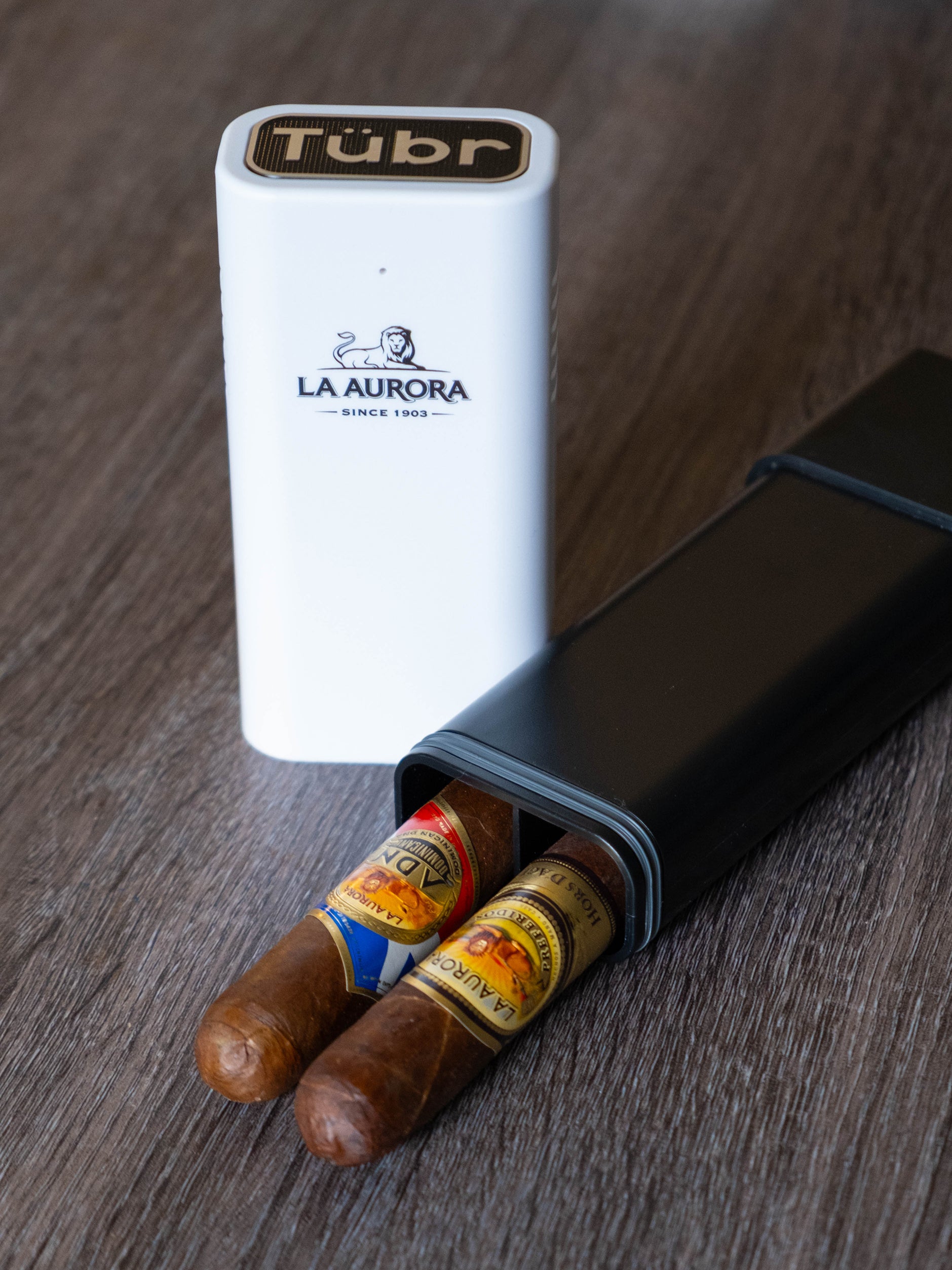 La Aurora × Tübr Gordo