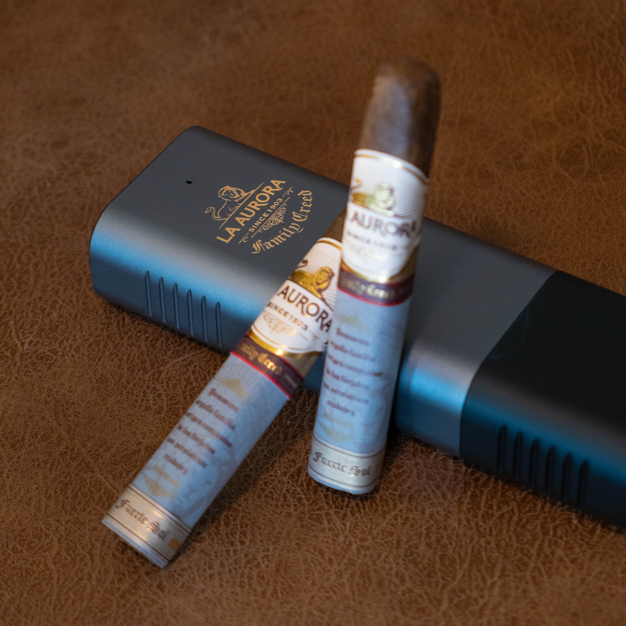 La Aurora × Tübr Gordo Alümen