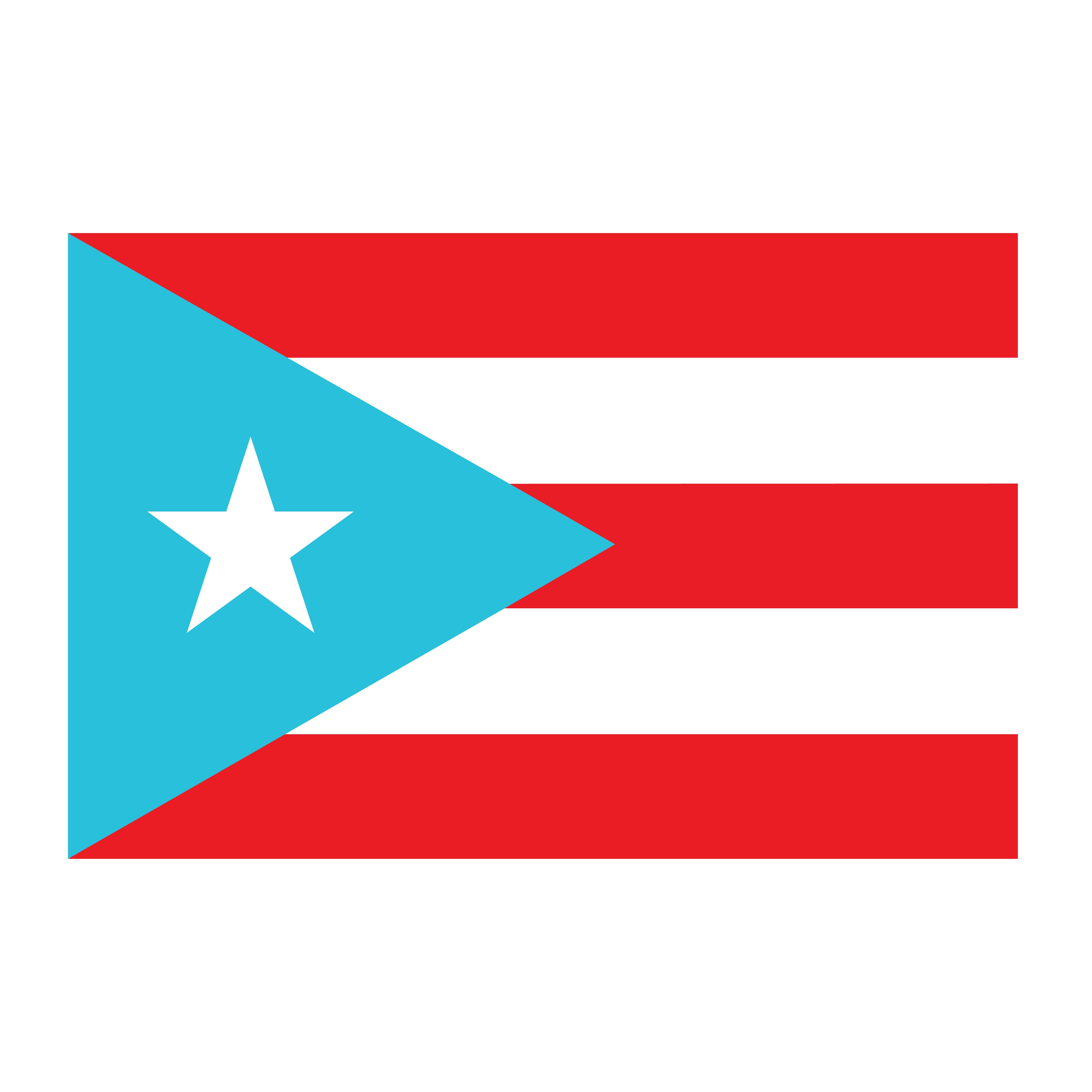 Puerto Rico Flag Gordo